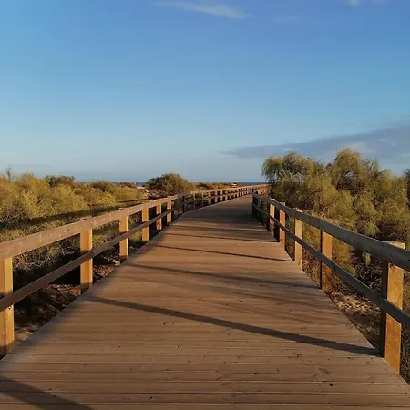 Casa Rosa - T1 Altura