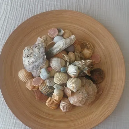 Apartman Casa Rosa - T1 *