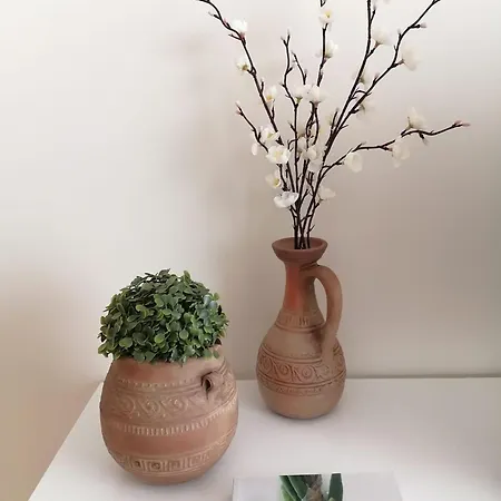 Casa Rosa - T1 Apartman *