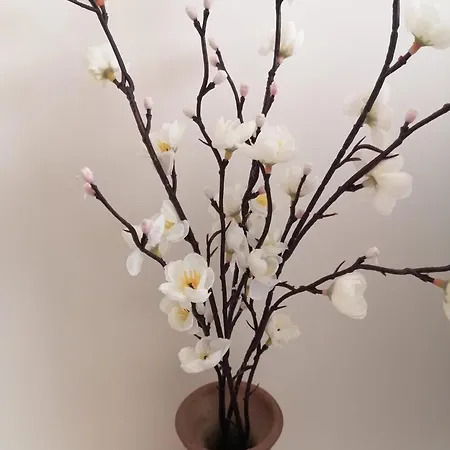 Apartman Casa Rosa - T1 Altura